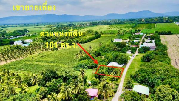 ที่ดิน ปากช่อง เขาใหญ่  101 ตร.ว. 3 แสน น.ส4จ นครราชสีมา