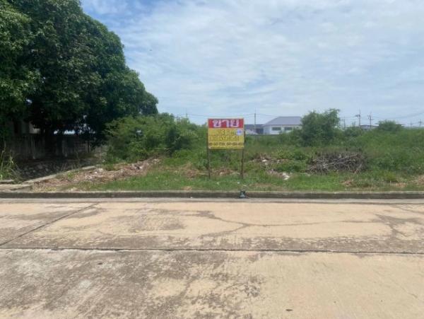 ขายที่ดิน 313.3 ตร.วา.หมู่บ้านมหาชัยเมืองทอง  ถ.สหกรณ์ บางหญ้าแพรก  เมืองสมุทรสาคร