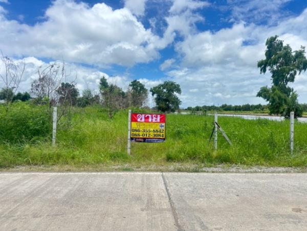 ขายที่ดิน 14-3-46 ไร่  ซอยวัดคู้เกษมสโมสร ถนนตลาดปองพล  คลองอุดมชลจร  เมืองฉะเชิงเทรา
