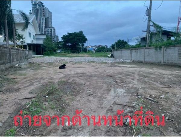 ขายที่ดินสวย ทำเลทอง ติดถนนเส้นหลัก ศรีราชา-หนองยายบู่ FP-L02453