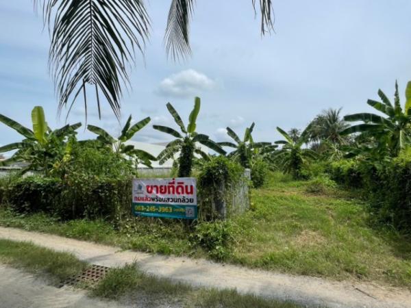 ขายที่ดิน แปลงสวยถมแล้ว ต.บ้านลาด อ.บ้านลาด จ.เพชรบุรี 1 งาน 89 ตรว.
