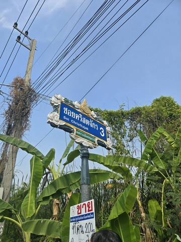 ขาย ที่ดิน - ใกล้กับ โรงเรียนปทุมวิไล ศาลากลางปทุมธานี โลตัสปทุมธานี โรงพยาบาลปทุมธานี อยู่ย่านใจกลางเมืองปทุม เขตชุมชน 23000 บาท ปทุมธานี