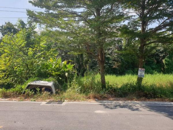 ทดคุณต้นคลอง8 ขาย ที่ดิน - 10 ตร.วา 1000000 บาท
