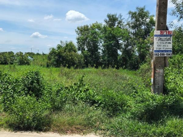 ทดคลองสามพี่เอ๋ ขาย ที่ดิน - ปทุมธานี    1000000 บาท