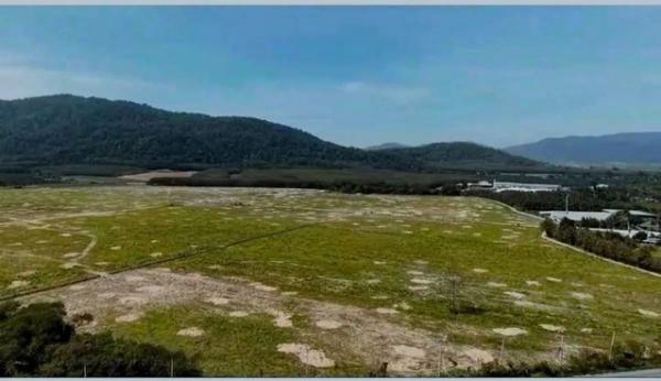 ขายที่ดิน แปลงใหญ่ เนื้อที่ 306 ไร่ 1 งาน 42.5 ตร.ว. ผังเมืองสีเหลือง บ้านบึง ชลบุรี